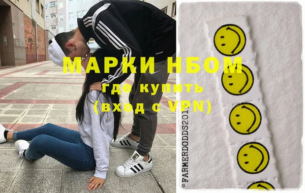 индика Верхний Тагил